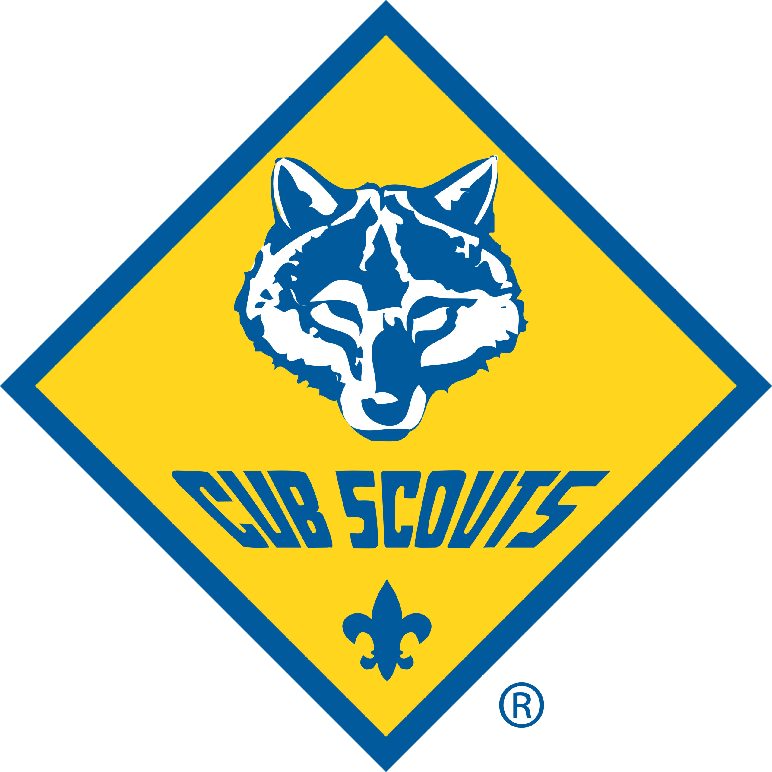 Join Cub Scouts!